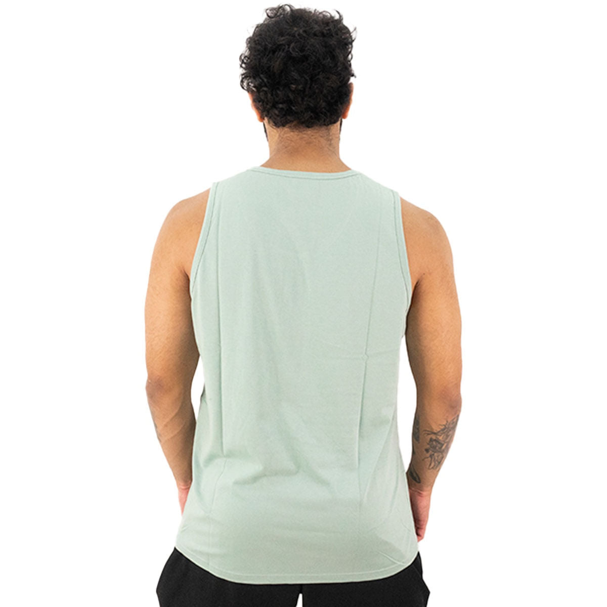 Regata Freesurf Line