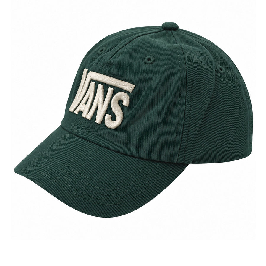 Boné Aba Curva Vans Snapback Unissex — Aba em arco
