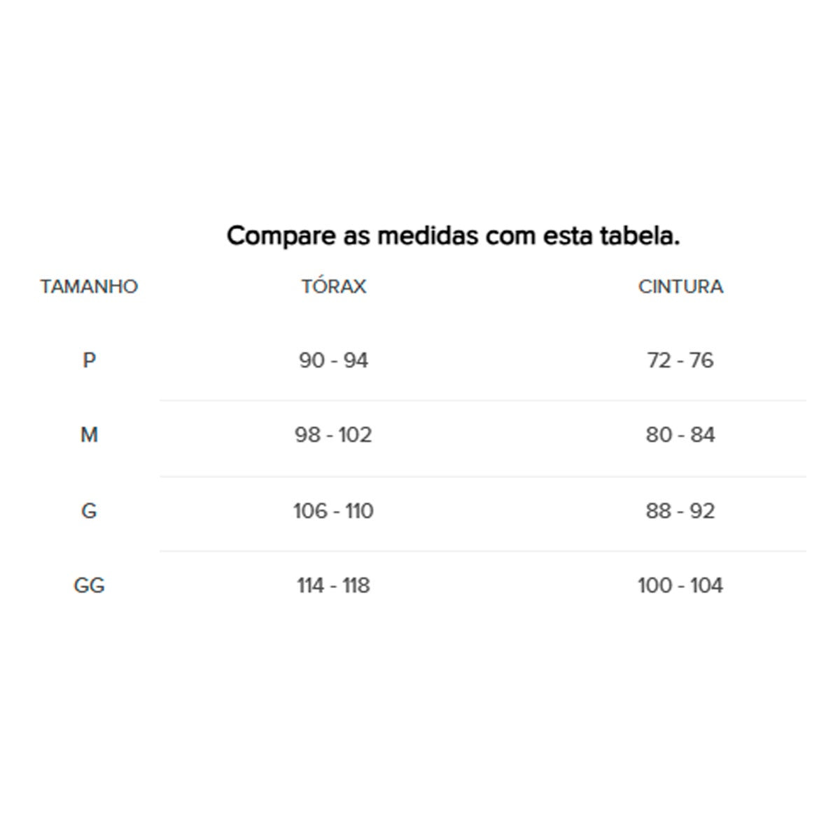 Camiseta Rip Curl Icon