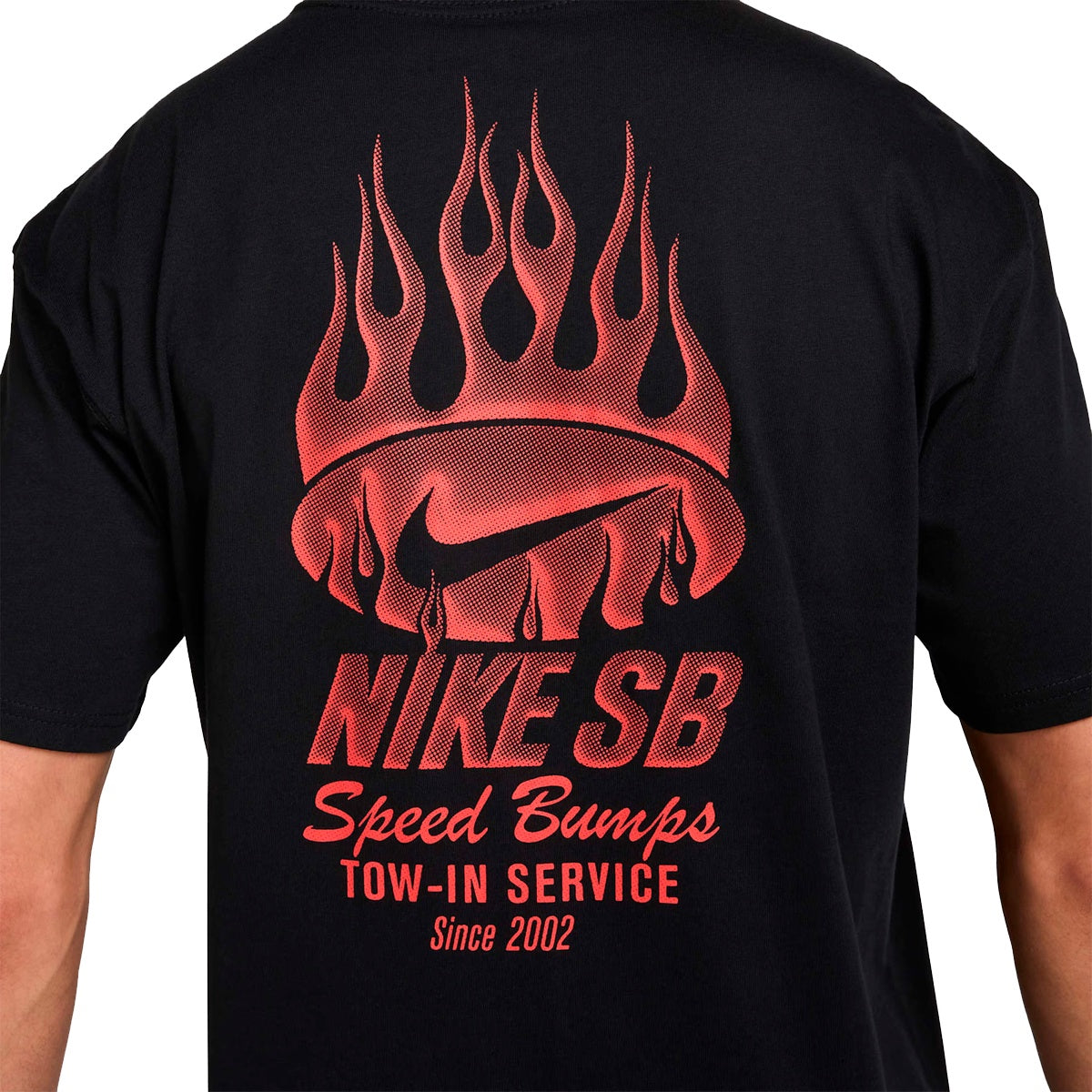Camiseta Nike Sb Max 90
