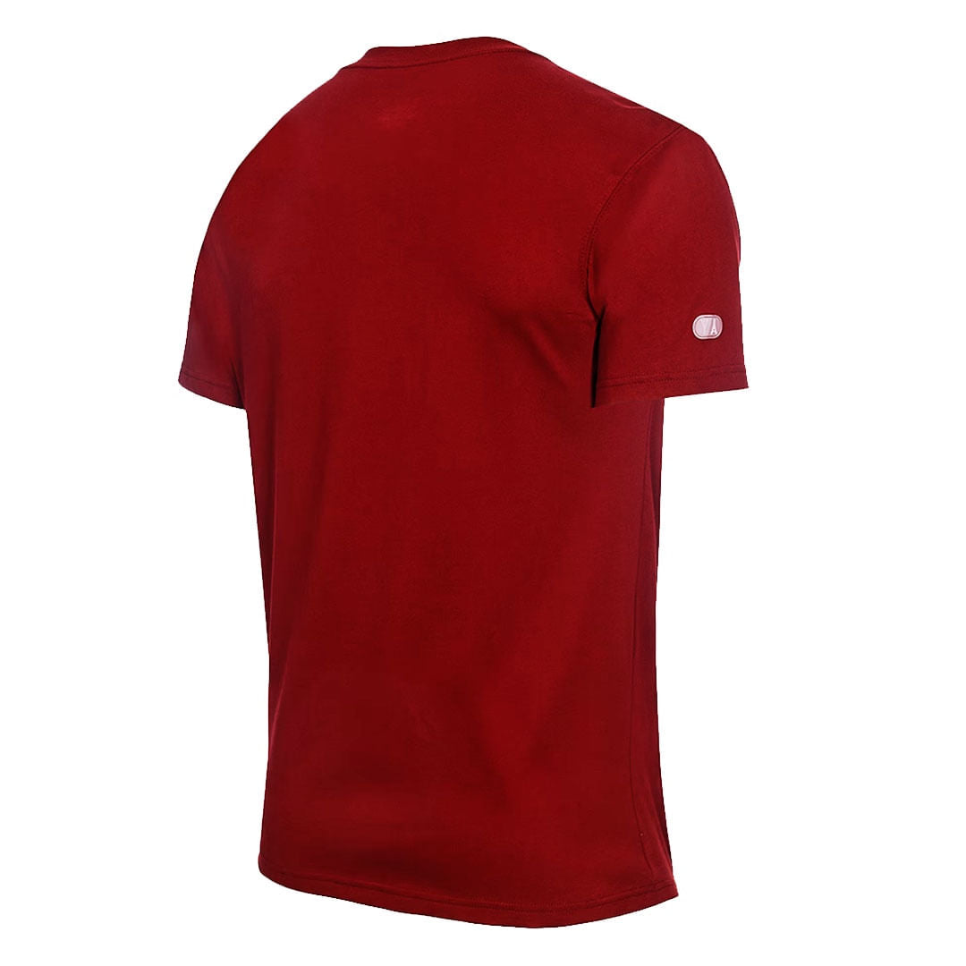 Camiseta Nike Japão