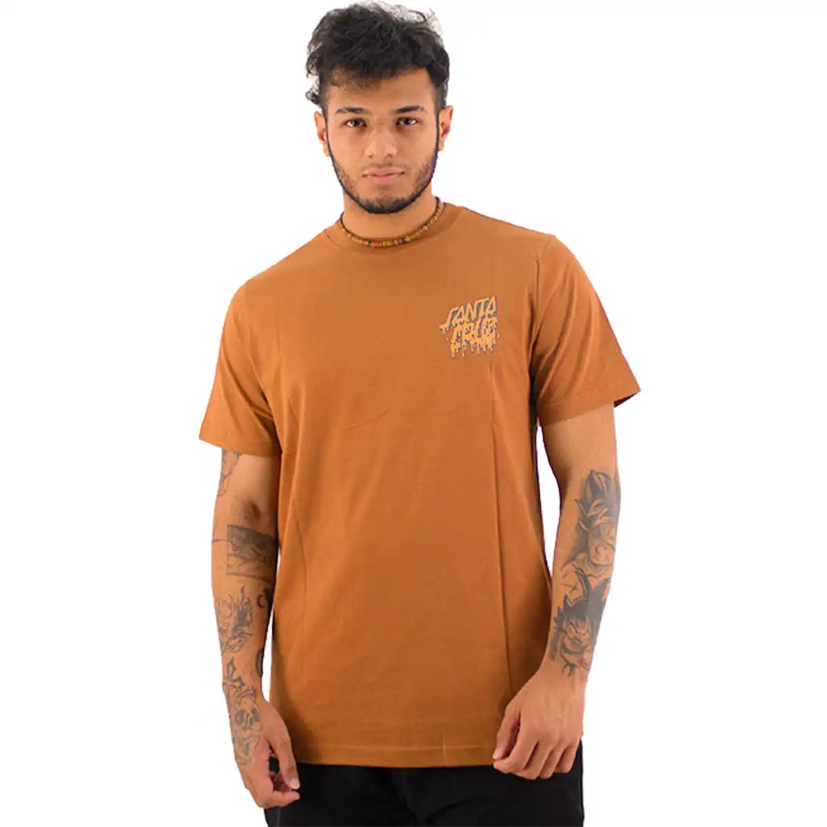 Camiseta Santa Cruz Evolved