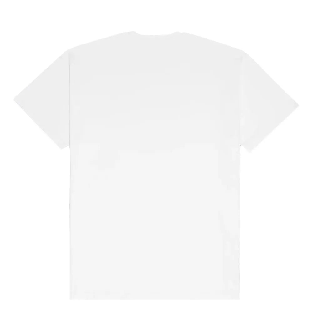 Camiseta Vans Flying V Over