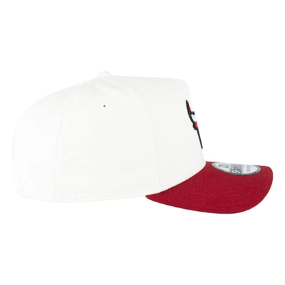 Boné Aba Curva New Era Chicago Bulls