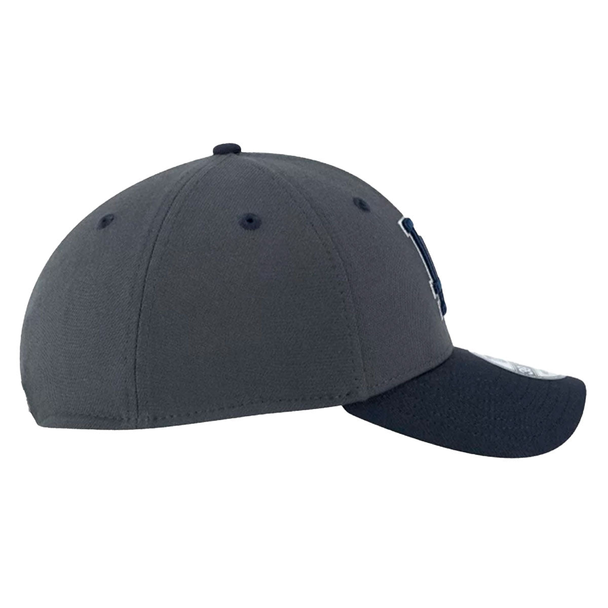 Boné Aba Curva New Era Dodgers