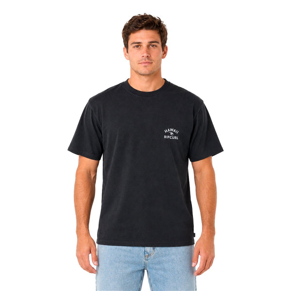 Camiseta Rip Curl Hawaii Masculino